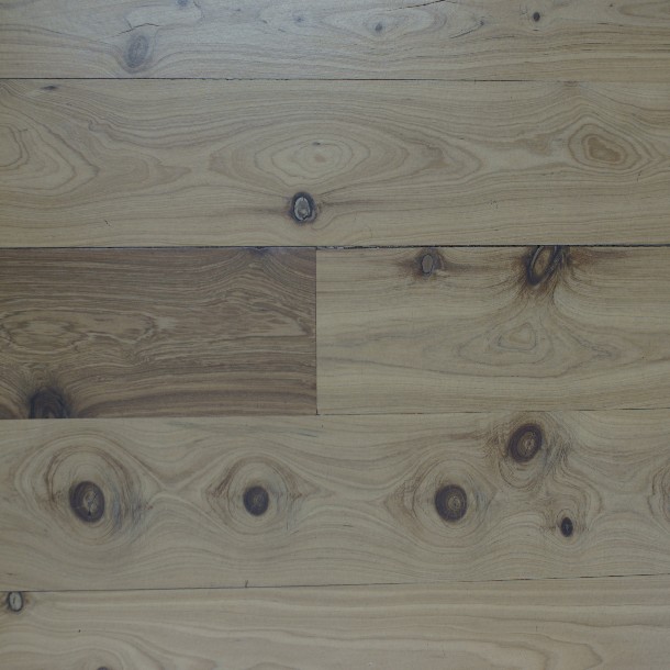 Cypress Pine
